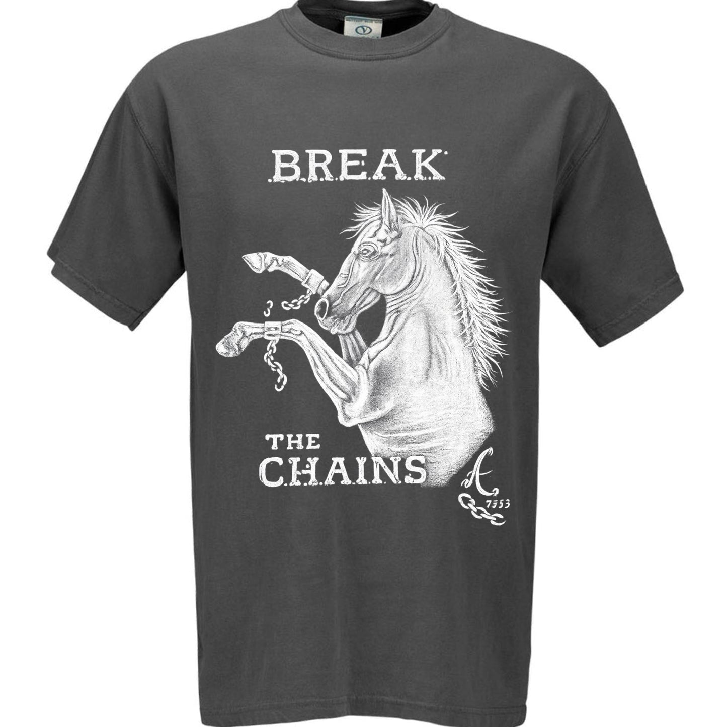 *Breaking Chains* Art by Anthony Echols x